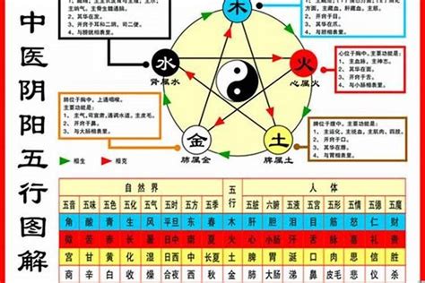 1984年生肖五行|84年属鼠是什么命 84年属鼠的人和什么属相合